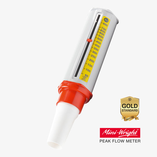 Peak-Flow-Meter Mini-Wright