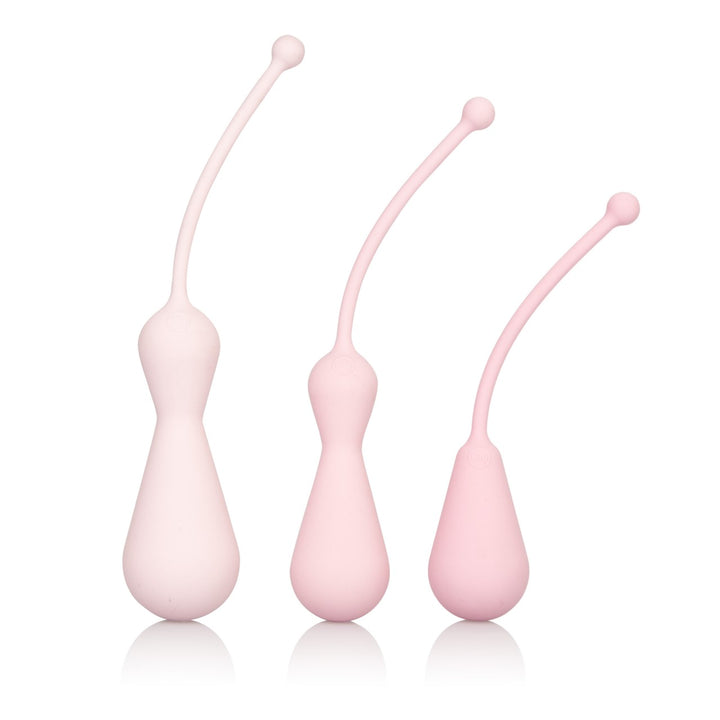 Kegel Training Kit