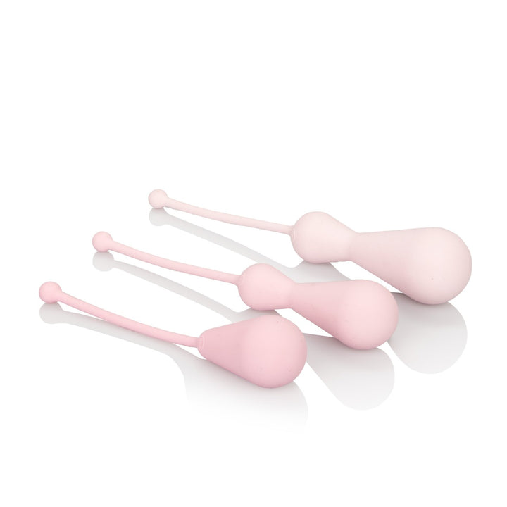 Kegel Training Kit