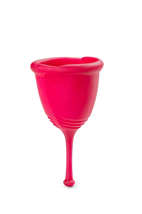 Mentruationstasse